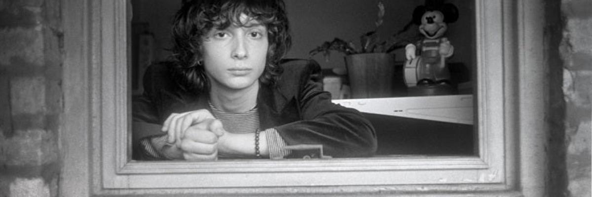 SHARP PINS w/ GOOD FLYING BIRDS AND ARTIFICIAL GO